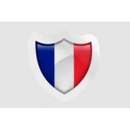 France Flag Icon Style 16 - DecalsHouse