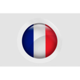 France Flag Icon Style 17 - DecalsHouse