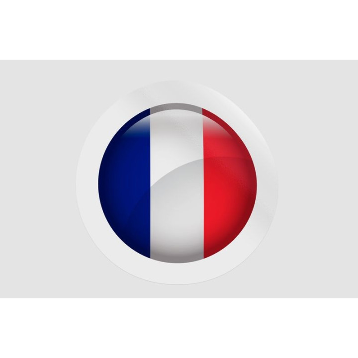 France Flag Icon Style 17 - DecalsHouse