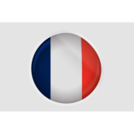 France Flag Icon Style 4 - DecalsHouse