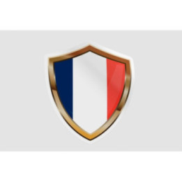France Flag Icon Style 5 - DecalsHouse