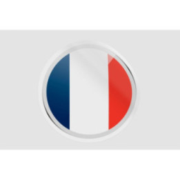 France Flag Icon Style 6 - DecalsHouse