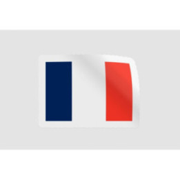 France Flag Icon - DecalsHouse