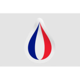 France Flag Illustration Style 4 - DecalsHouse