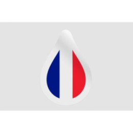 France Flag Illustration Style 5 - DecalsHouse