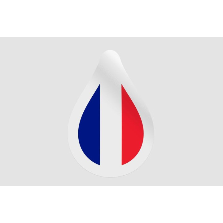 France Flag Illustration Style 5 - DecalsHouse