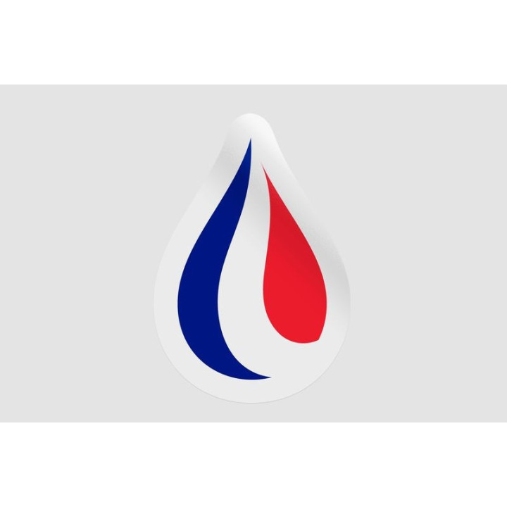 France Flag Illustration Style 7 - DecalsHouse