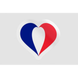 France Flag Illustration Style 8 - DecalsHouse
