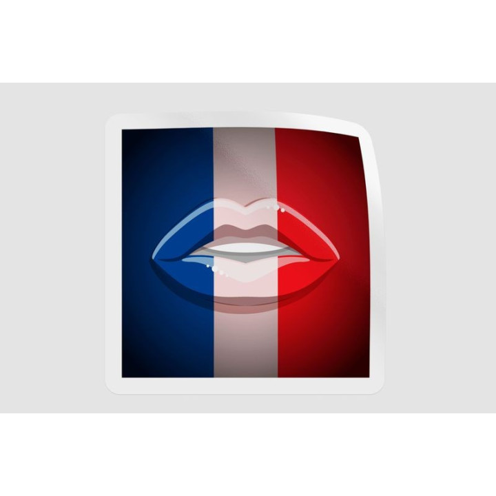 France Flag Lips - DecalsHouse