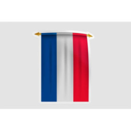 France Flag Pennant Style 5 Bce - DecalsHouse