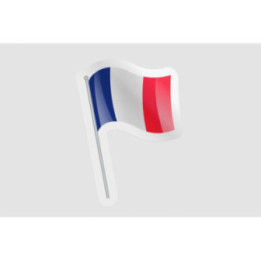 France Flag Pole Style 3 - DecalsHouse