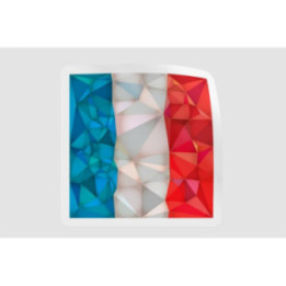 France Flag Poly - DecalsHouse