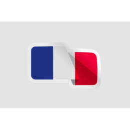 France Flag Style 2 Bce - DecalsHouse