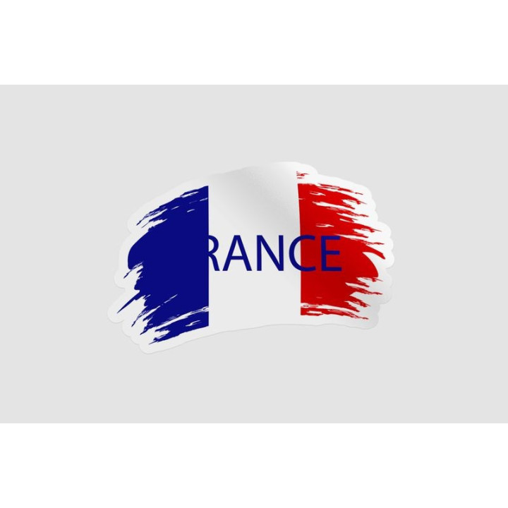 France Flag Style 2 - DecalsHouse
