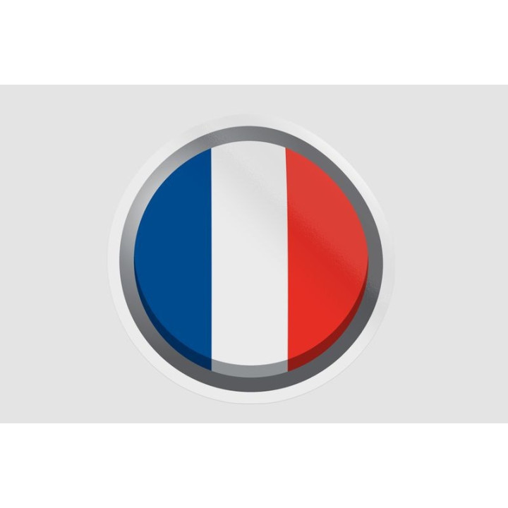 France Flag Style 5 Bce - DecalsHouse