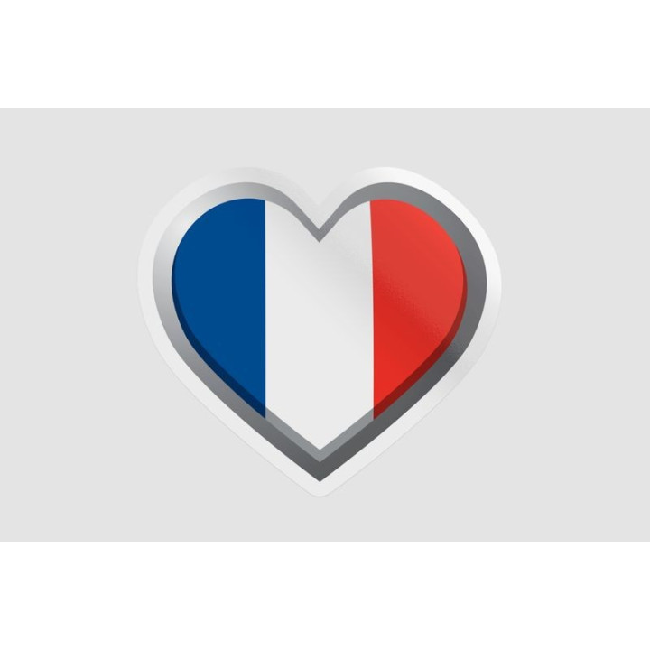 France Flag Style 6 Bce - DecalsHouse