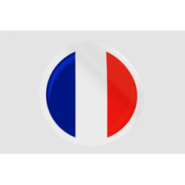 France Flag Style 8 - DecalsHouse