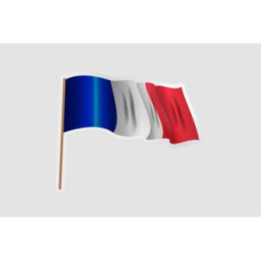 France Flag Waving Style 11 - DecalsHouse