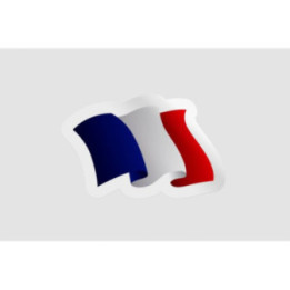 France Flag Waving Style 13 - DecalsHouse
