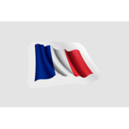 France Flag Waving Style 15 - DecalsHouse