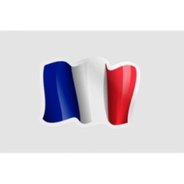 France Flag Waving Style 2 - DecalsHouse