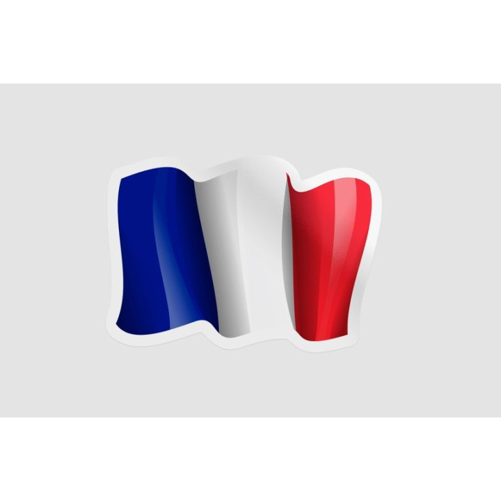 France Flag Waving Style 2 - DecalsHouse