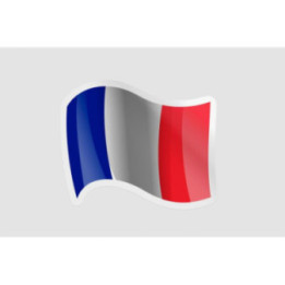 France Flag Waving Style 7 - DecalsHouse