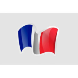 France Flag Waving Style 8 - DecalsHouse