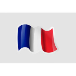 France Flag Waving Style 9 - DecalsHouse