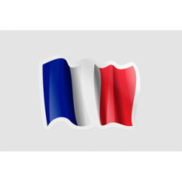 France Flag Waving - DecalsHouse