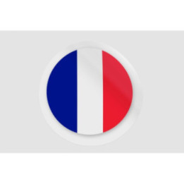 France Flag - DecalsHouse