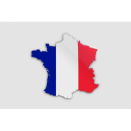 France Map Flag - DecalsHouse