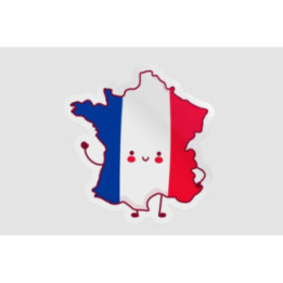 France Map Funny Face Style 5 - DecalsHouse