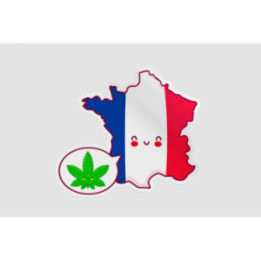 France Map Funny Face - DecalsHouse