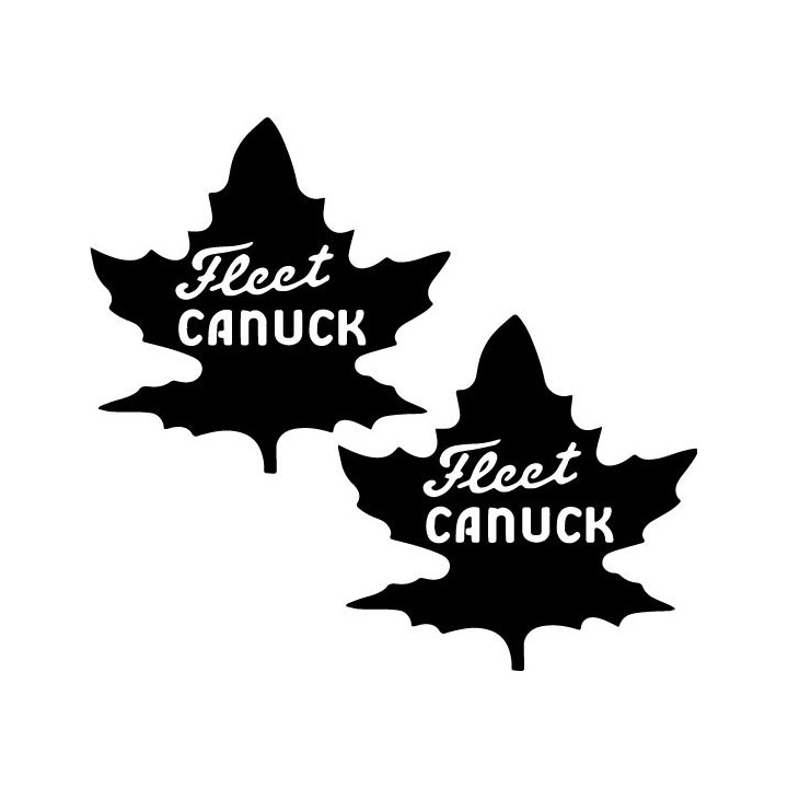 Buy Fleet Canuck Aviation Online
