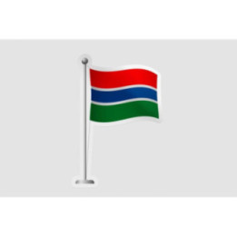 Gambia Flag Pole Style 2 - DecalsHouse