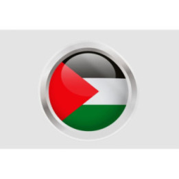 Gaza Flag Style 10 Sticker - DecalsHouse