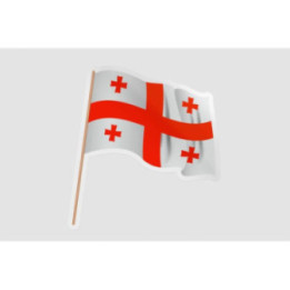 Georgia Flag Waving Style 2 - DecalsHouse
