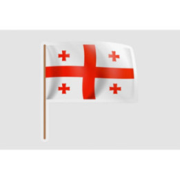 Georgia Flag Waving - DecalsHouse