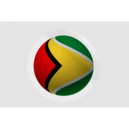 Guyana Flag Ball - DecalsHouse