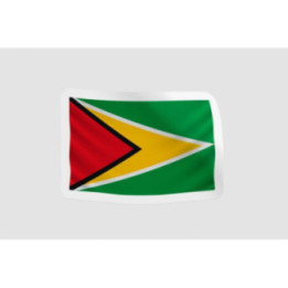Guyana Flag Hanging - DecalsHouse