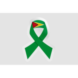 Guyana Flag Ribbon Style 2 - DecalsHouse