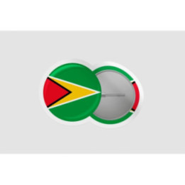 Guyana Flag Style 6 - DecalsHouse
