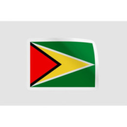 Guyana Flag - DecalsHouse