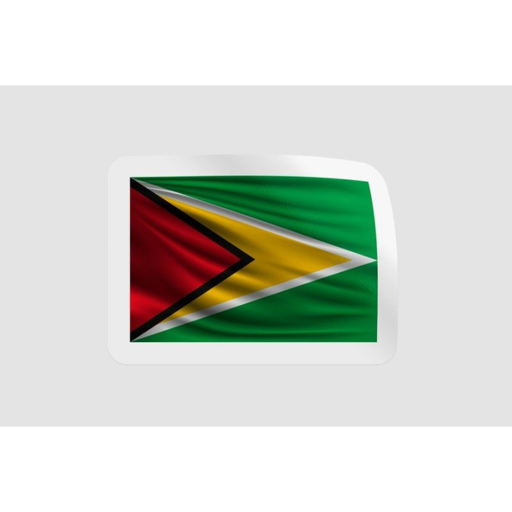 Guyana National Flag Style 3 - DecalsHouse