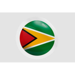 Guyana National Flag Style 4 - DecalsHouse