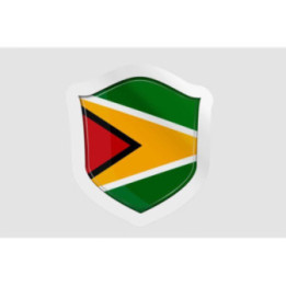 Guyana National Flag Style 5 - DecalsHouse