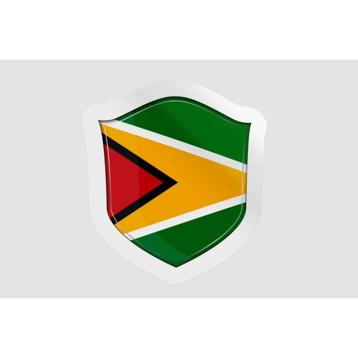 Guyana National Flag Style 5 - DecalsHouse