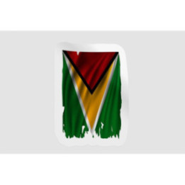 Guyana National Flag Style 6 - DecalsHouse