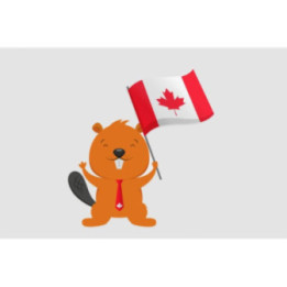 Happy Canada Day Style 43 Sticker - DecalsHouse